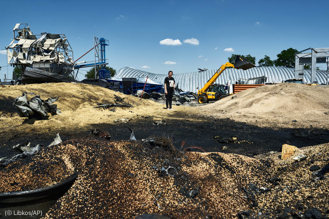 Person standing amid debris in field (© Libkos/AP)
