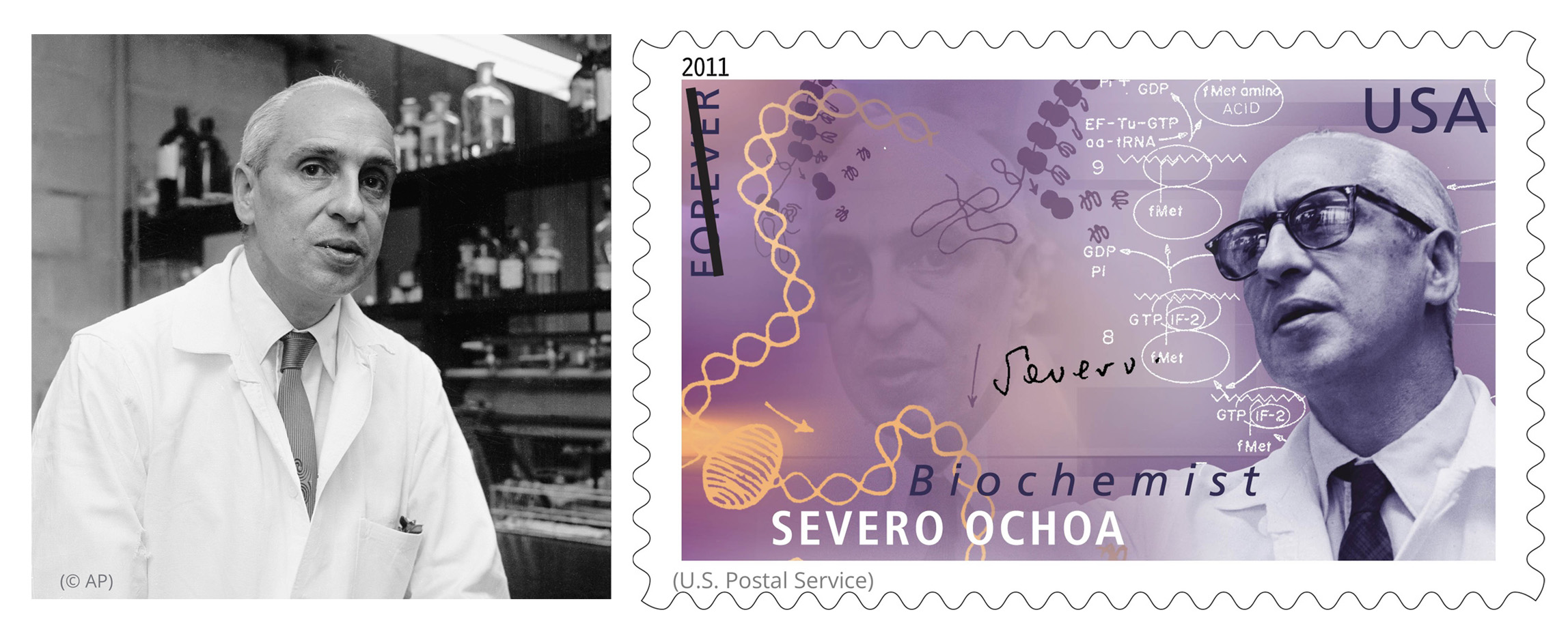Left photo: Man wearing lab coat (© AP) Right image: Severo Ochoa stamp (U.S. Postal Service)