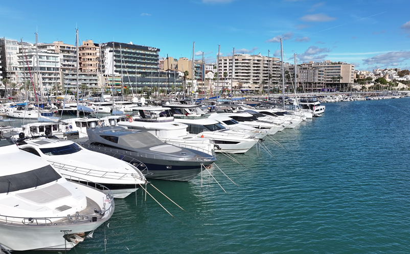 La Lonja Marina Chárter gestionará los amarres de alquiler del paseo Marítimo del puerto de Palma – Actualidad Marítima y Portuaria