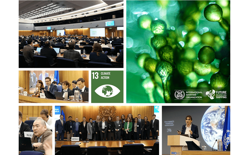 Seminario técnico sobre el uso de biocarburantes en el transporte marítimo – Actualidad Marítima y Portuaria